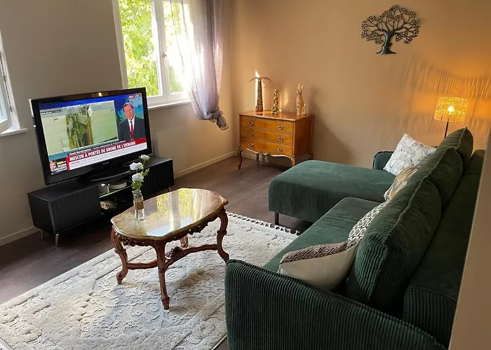 Colmar, Petite Venise, Avec Ascenseur *